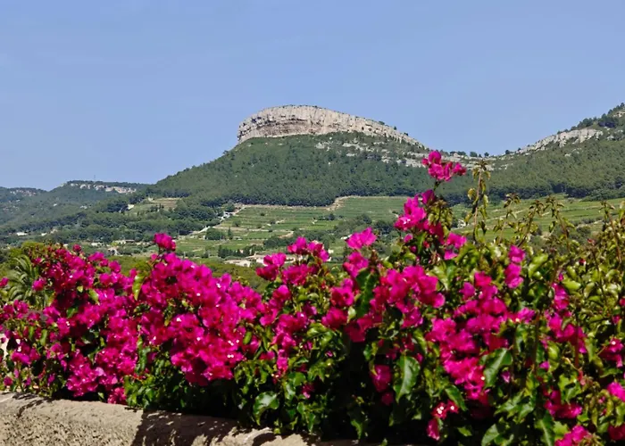 T2 A * Cassis